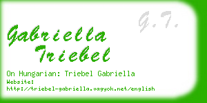 gabriella triebel business card